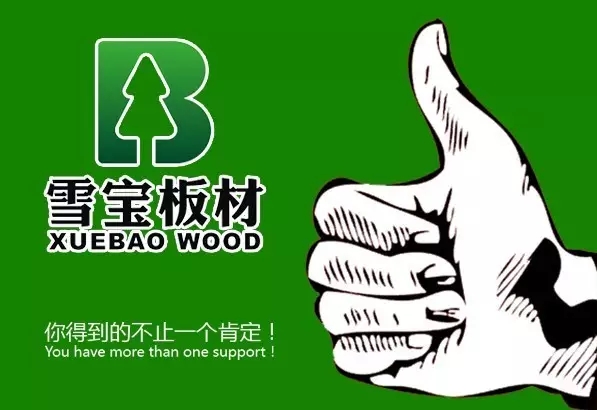 雪宝板材江西乐平专卖店盛大开业!祝红红火火!